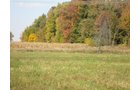 Property photo 8 - 145+/- Acres Offered in 6 Tracts Real Estate Auction